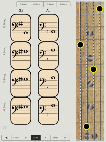 Bass Notes for Beginners - HD screenshot 2