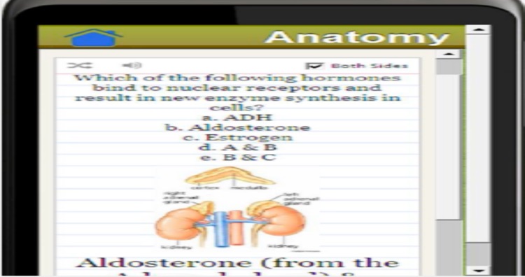 NCLEX LPN Study Guide