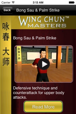 Wing Chun Masters screenshot 3