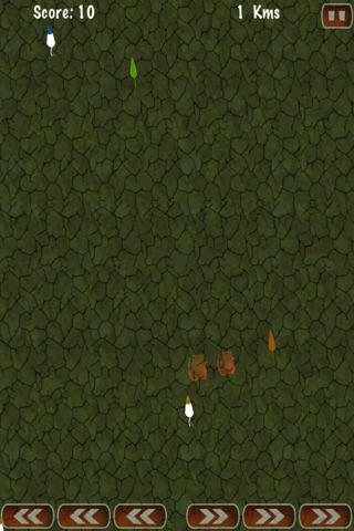 Funny Little Rodent Race -  Grand Pet Mouse Chase Mania screenshot 3