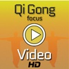 Qi Gong Focus