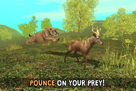 Wild Cougar Sim 3D - Real Wildlife Simulator screenshot 3