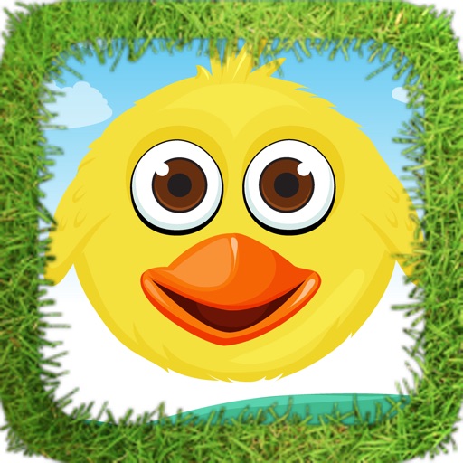 Huffy Bird Smasher Lite iOS App