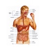 Gastroenterology Comprehensive Review Course Board Review Gastroenterology and Hepatology