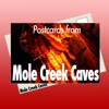 Postcards from Mole Creek Caves