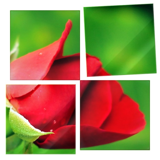 TakTak Picture Puzzles iOS App