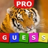 Guess The Animal Hidden Pro