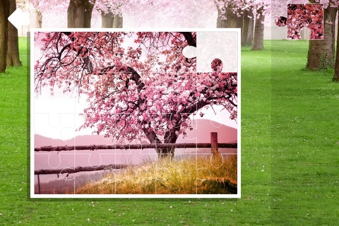 Jigsaw Puzzles. Spring screenshot 3