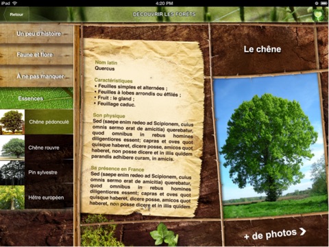 Bois Forêt : pour découvrir les forêts françaises et l'univers du bois screenshot 3