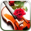 轻音乐系列之提琴协奏曲