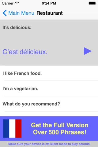 Speak French Phrasebook Lite screenshot 2