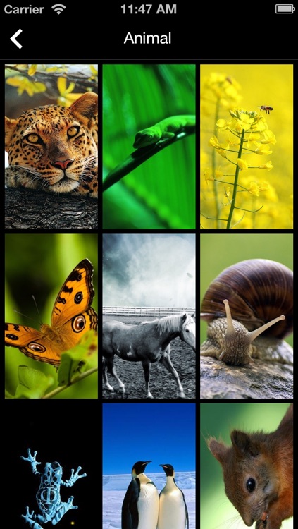 Wallpapers iOS 7 Edition Pro