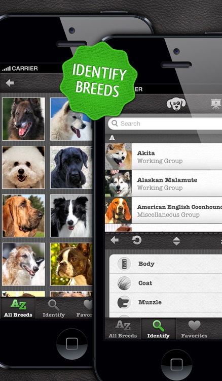 Dogs PRO - NATURE MOBILE - Dog Breed Guide and Quiz Game