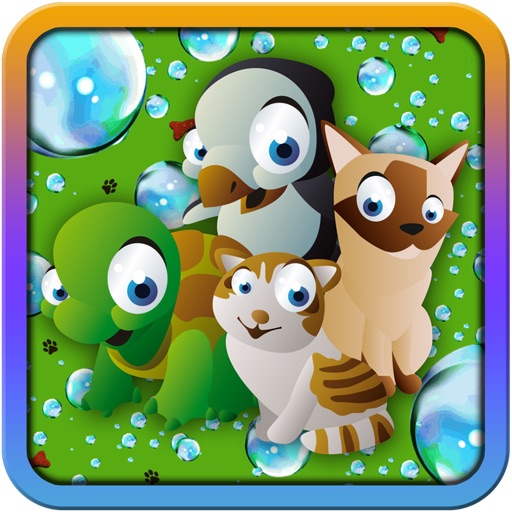 Pet Puzzle Action Maze Skill Game icon