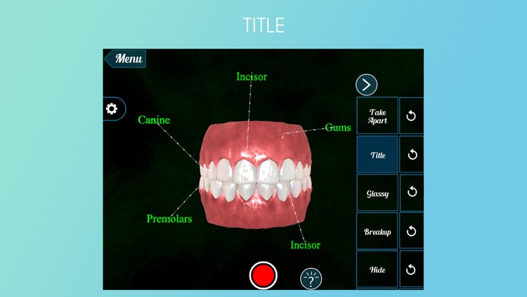 Virtual Reality(VR) Teeth Anatomy