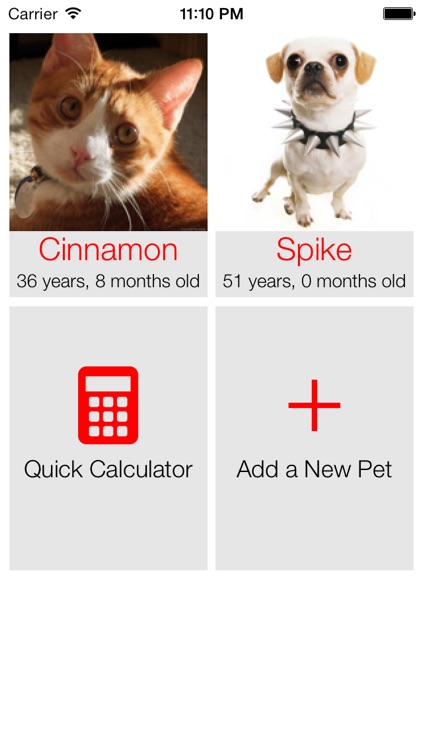 Pet Age Calculator: Convert Pet Age to Human Years