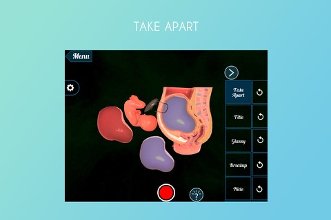 VR Fetus in the Uterus screenshot 2