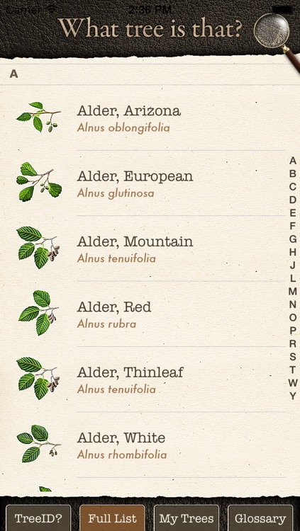 Arbor Day Tree Identification Guide: What Tree ... screenshot-3
