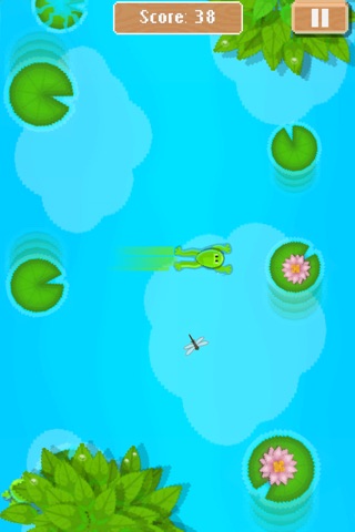 Frog Commander screenshot 2
