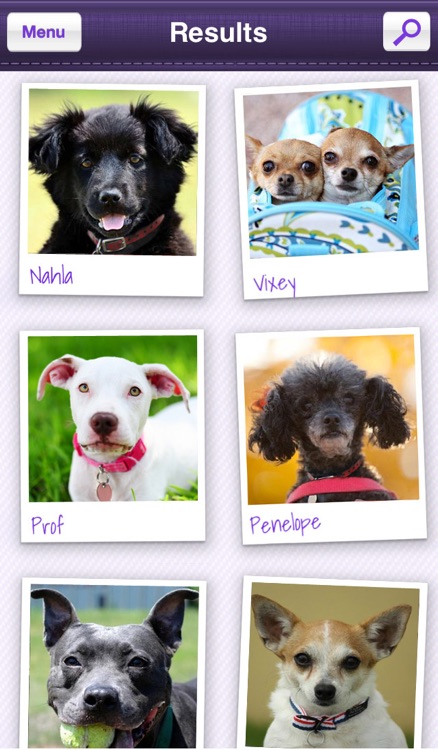 Petfinder Mobile