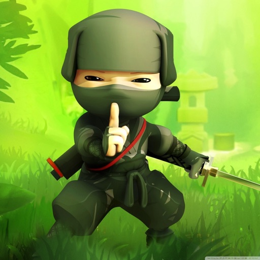Angry Ninja Block