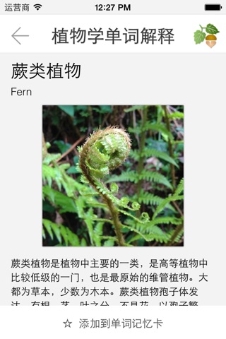 Terms of Plant screenshot 3