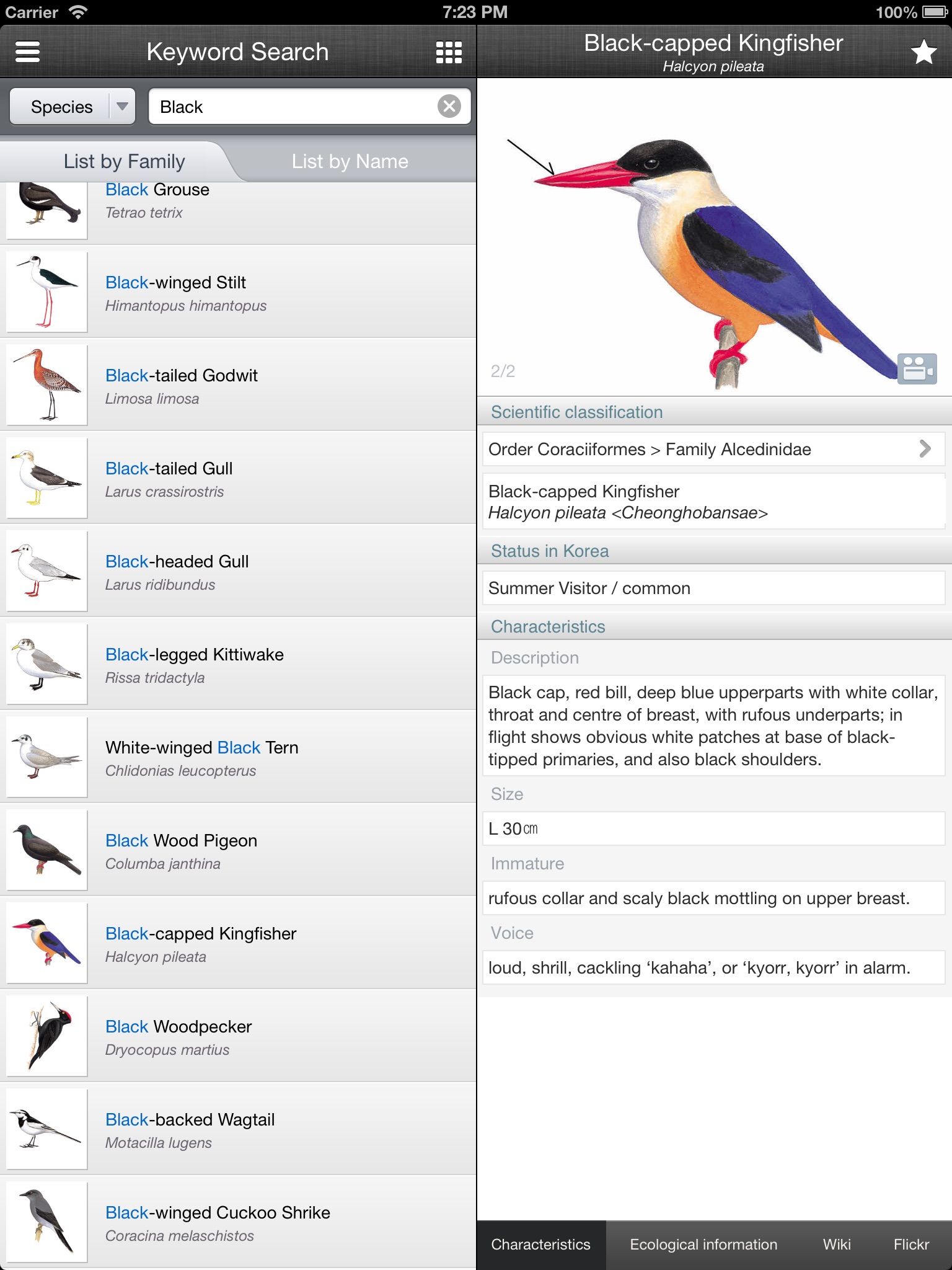 Birds of Korea PRO for iPad screenshot 2