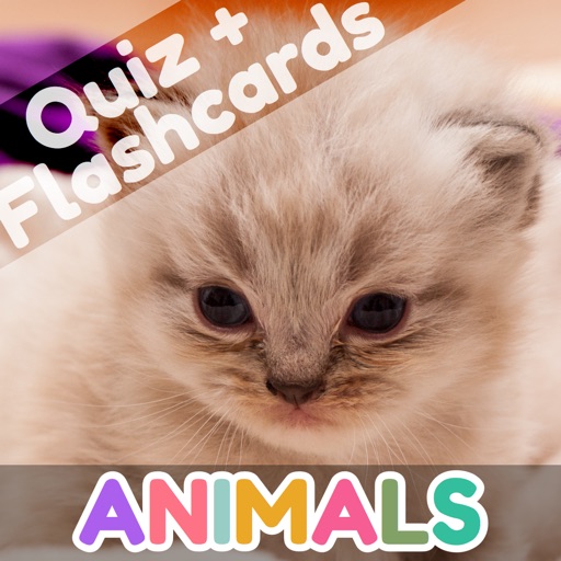 Toddler Animals: First Words Flashcards and Quiz for Preschool Kids icon