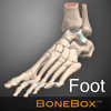 BoneBox-Foot apk