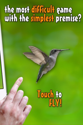 Real bird: Tap to fly! screenshot 3