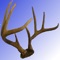 iGoHunting is not a game
