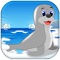 Baby Seal in a Slippery Ice Land