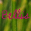 Bellis