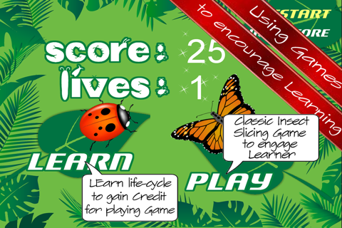 Insects Slice And Learn - Free screenshot 2