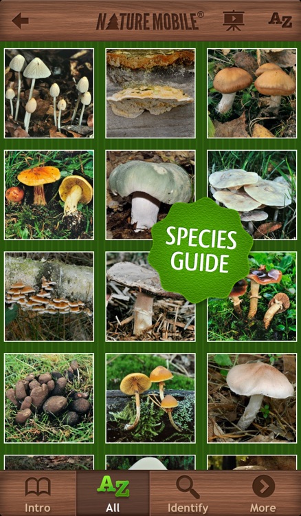 Mushrooms PRO - NATURE MOBILE - For Safe Enjoyment!