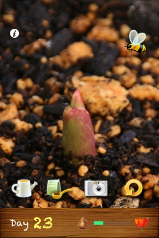 My Tulip Lite screenshot 2