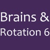 Brains & Rotation 6