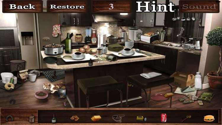 Hidden Objects??? screenshot-4