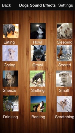 Cats & Dogs Sound Effects Free(圖2)-速報App