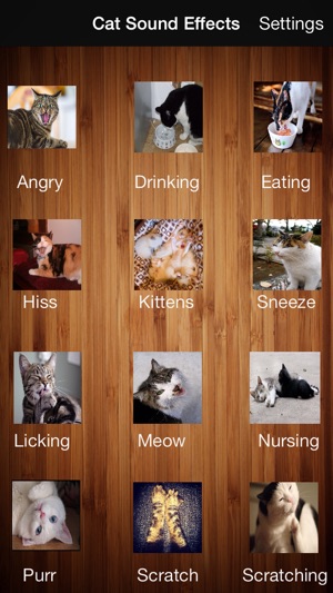 Cats & Dogs Sound Effects Free(圖1)-速報App