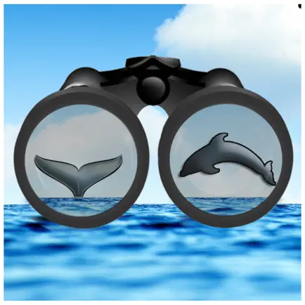 See & ID Dolphins & Whales Cheats