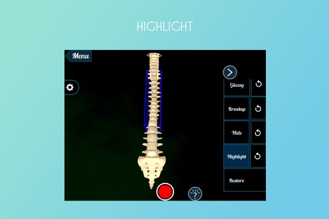 Human Spine 3D screenshot 3