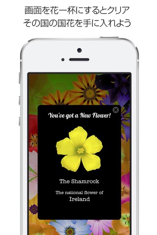 Bloom Free - Let flowers bloom with a tap on the screen - screenshot 3