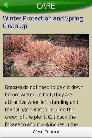 Midwest Ornamental Grasses screenshot 4