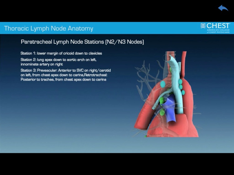 Bronch+ screenshot-3