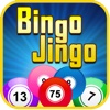 Bingo Jingo - big bash journey