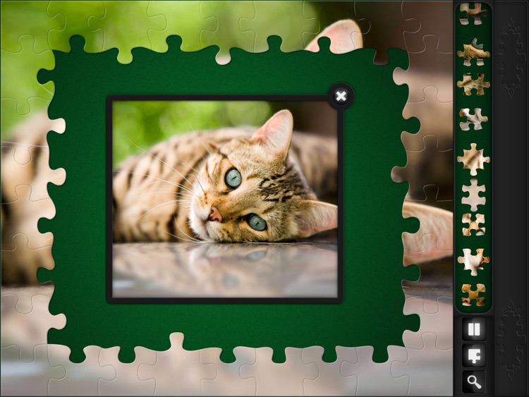 Jigsaw Puzzles: Funny Cats