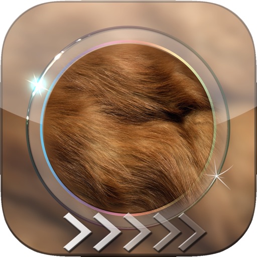 BlurLock – Animal Skins : Blur Lock Screen Photo Maker Wallpapers For Pro icon