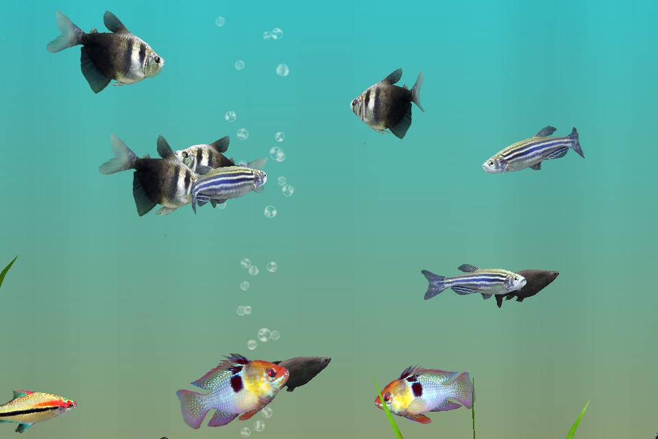 MyLake 3D Aquarium screenshot 3