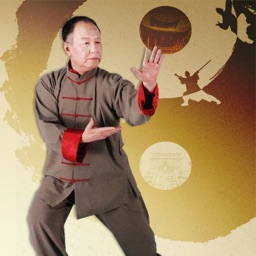 Taiji Kungfu